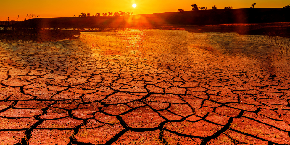 COP29 sul clima: il 2024 Supera la Soglia Critica di 1,5°C